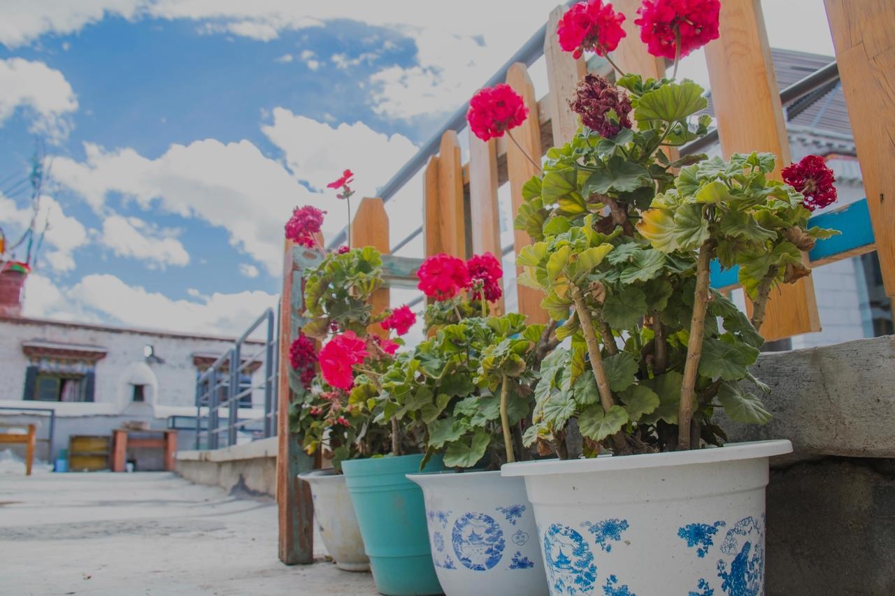 Fengma Feiyang Hostel Lhasa Exterior foto